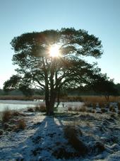 strijen_170x227_028.jpg