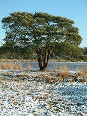 strijen_170x227_029.jpg