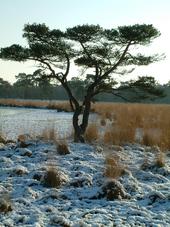 strijen_170x227_030.jpg