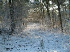 strijen_227x170_001.jpg
