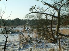 strijen_227x170_003.jpg