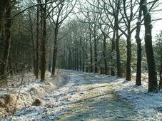 strijen_227x170_010.jpg