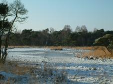 strijen_227x170_014.jpg