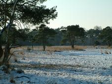 strijen_227x170_015.jpg