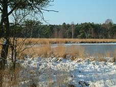 strijen_227x170_016.jpg