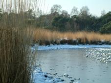 strijen_227x170_019.jpg