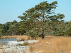 strijen_227x170_021.jpg
