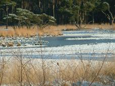 strijen_227x170_032.jpg