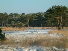 strijen_227x170_034.jpg