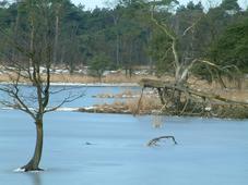 strijen_227x170_001.jpg