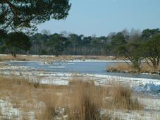 strijen_227x170_008.jpg