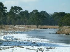 strijen_227x170_010.jpg