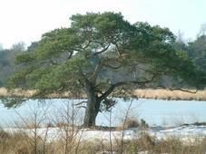 strijen_227x170_014.jpg