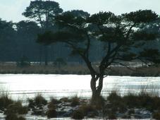 strijen_227x170_019.jpg