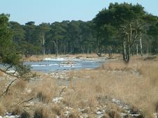 strijen_227x170_025.jpg