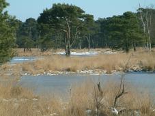 strijen_227x170_026.jpg