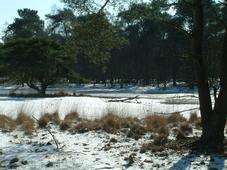 strijen_227x170_028.jpg