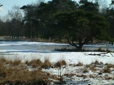 strijen_227x170_029.jpg