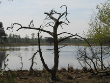 strijen_216x162_005.jpg