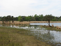 strijen_216x162_007.jpg