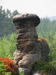 heemtuin_182x243_8949.jpg