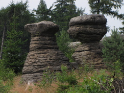 heemtuin_243x182_8939.jpg