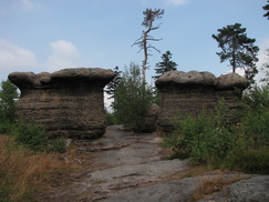 heemtuin_243x182_8945.jpg