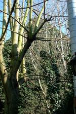 turnhout_150x225_013.jpg