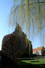turnhout_150x225_043.jpg