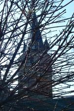 turnhout_150x225_057.jpg