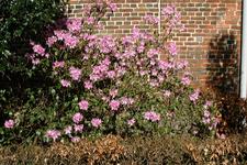 turnhout_225x150_033.jpg