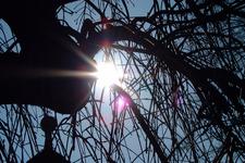 turnhout_225x150_055.jpg