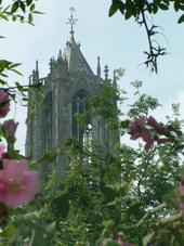 utrecht_170x227_037.jpg