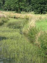 watermolens_162x216_046.jpg