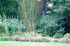 westbroekpark_225x150_004.jpg
