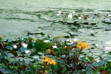 westbroekpark_225x150_005.jpg