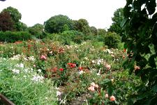 westbroekpark_225x150_011.jpg