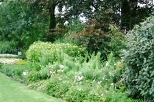 westbroekpark_225x150_018.jpg