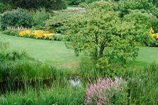westbroekpark_225x150_022.jpg