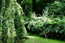 westbroekpark_225x150_023.jpg