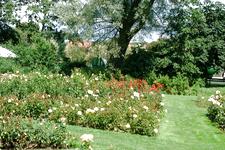westbroekpark_225x150_026.jpg