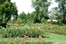 westbroekpark_225x150_027.jpg