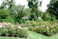 westbroekpark_225x150_028.jpg