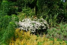 westbroekpark_225x150_041.jpg