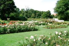 westbroekpark_225x150_045.jpg