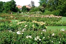 westbroekpark_225x150_053.jpg