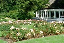 westbroekpark_225x150_055.jpg