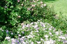 westbroekpark_225x150_058.jpg