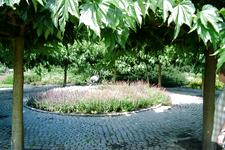 westbroekpark_225x150_060.jpg