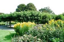 westbroekpark_225x150_061.jpg